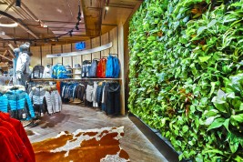 Intersport Winninger