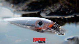 Fisch